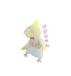 手描きインコスタンプ2（個別スタンプ：1）