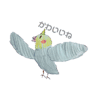手描きインコスタンプ2（個別スタンプ：3）