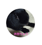 うさぎな1日（個別スタンプ：1）