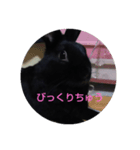 うさぎな1日（個別スタンプ：3）