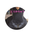 うさぎな1日（個別スタンプ：6）