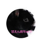 うさぎな1日（個別スタンプ：7）