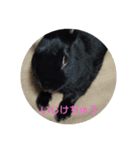 うさぎな1日（個別スタンプ：8）