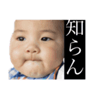 t o a 2（個別スタンプ：14）