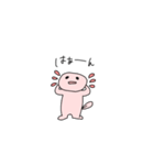 我はうーぱーなのだろうか。（個別スタンプ：12）