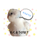 baby ぴーちゃんの日常（個別スタンプ：2）