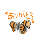 夏休みの自由研究の昆虫たち:)（個別スタンプ：4）