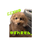 砂川家のりょうまくん2（個別スタンプ：1）