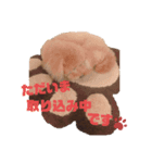 砂川家のりょうまくん2（個別スタンプ：3）