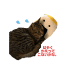 よつばはこねぎ（個別スタンプ：3）