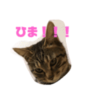 よつばはこねぎ（個別スタンプ：13）