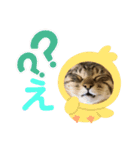 よつばはこねぎ（個別スタンプ：14）