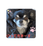 アンナのごあいさつ❣️（個別スタンプ：6）