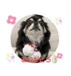 アンナのごあいさつ❣️（個別スタンプ：7）