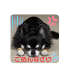 アンナのごあいさつ❣️（個別スタンプ：8）