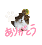 たけだけのココ（個別スタンプ：2）