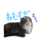 たけだけのココ（個別スタンプ：3）