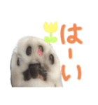 たけだけのココ（個別スタンプ：9）