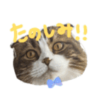 たけだけのココ（個別スタンプ：11）