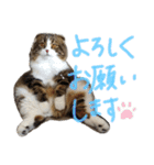 たけだけのココ（個別スタンプ：17）