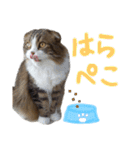 たけだけのココ（個別スタンプ：19）
