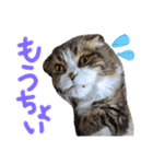 たけだけのココ（個別スタンプ：20）
