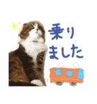 たけだけのココ（個別スタンプ：21）