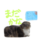 たけだけのココ（個別スタンプ：22）