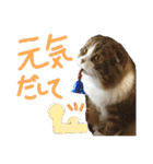 たけだけのココ（個別スタンプ：23）