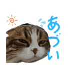 たけだけのココ（個別スタンプ：26）