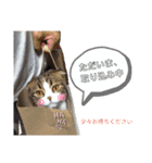 たけだけのココ（個別スタンプ：29）