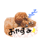 まりんのすたんぷ！（個別スタンプ：2）