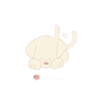 かわいいわんこズ（個別スタンプ：6）