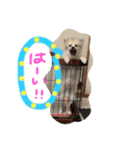 田中なるとさん（個別スタンプ：11）