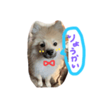 田中なるとさん（個別スタンプ：14）