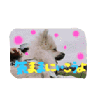 田中なるとさん（個別スタンプ：15）