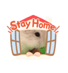 ハムスターのフレームスタンプ（個別スタンプ：13）