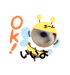 ハムスターのフレームスタンプ（個別スタンプ：17）