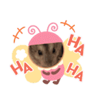 ハムスターのフレームスタンプ（個別スタンプ：23）