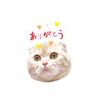 ねこのきもち3（個別スタンプ：2）