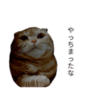ねこのきもち3（個別スタンプ：5）