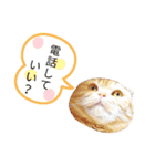 ねこのきもち3（個別スタンプ：6）