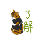 ネコがいる日常 01（個別スタンプ：1）