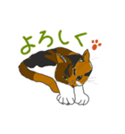 ネコがいる日常 01（個別スタンプ：2）