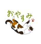 ネコがいる日常 01（個別スタンプ：3）