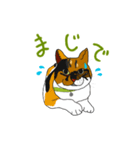 ネコがいる日常 01（個別スタンプ：4）