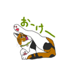 ネコがいる日常 01（個別スタンプ：5）