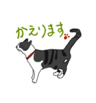 ネコがいる日常 01（個別スタンプ：7）