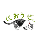 ネコがいる日常 01（個別スタンプ：8）