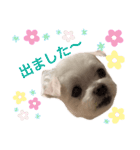ミルクちゃんの家族スタンプ（いぬ）2（個別スタンプ：2）